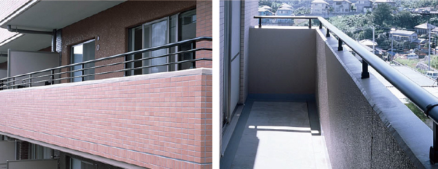 �C���[�W�ʐ^�@�J�R��E�R��